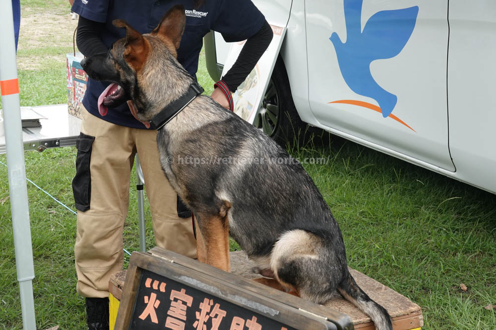 日本レスキュー協会　災害救助犬