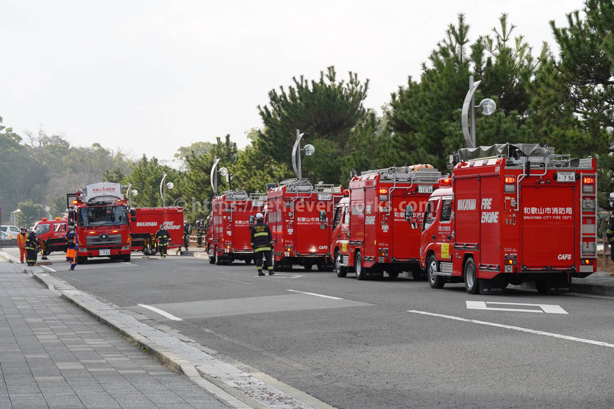 令和5年和歌山市消防出初式に参加した消防車両